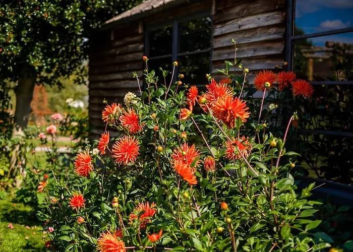 Medieval Manor House *