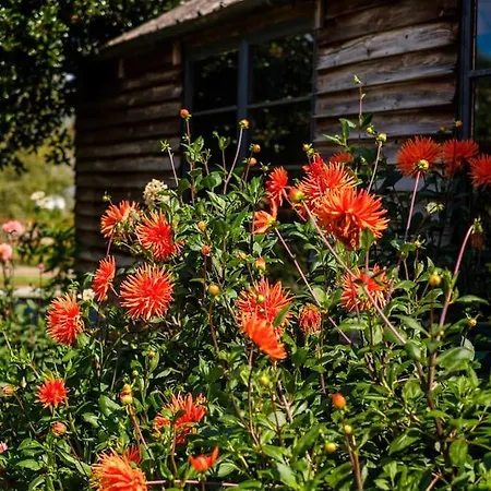 Medieval Manor House *