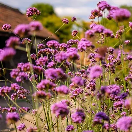 Medieval Manor House * Бристоль