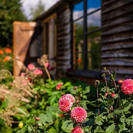 Medieval Manor House Дом отдыха *