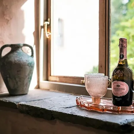 Medieval Manor House *